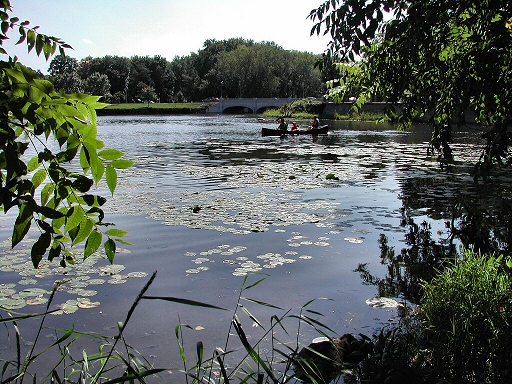 Speed River
