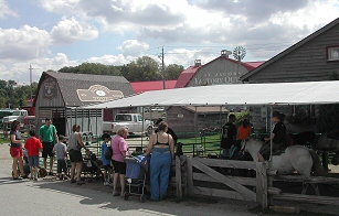 St. Jacobs Market