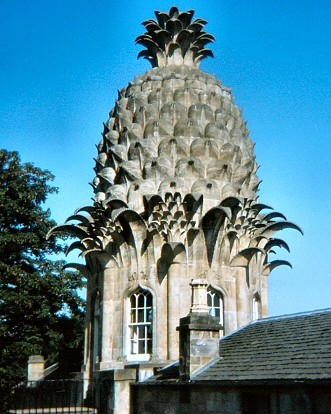 The Pineapple