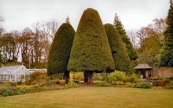 Malleny Garden
