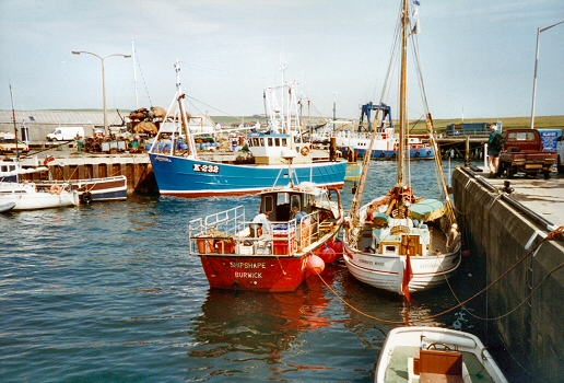 Stromness - harbour
