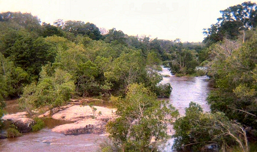 Kruger National Park - River Crossing
