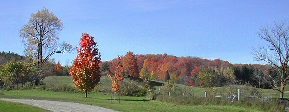 Orangeville