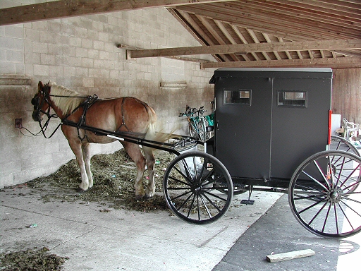Mennonite Horse and Buggy
