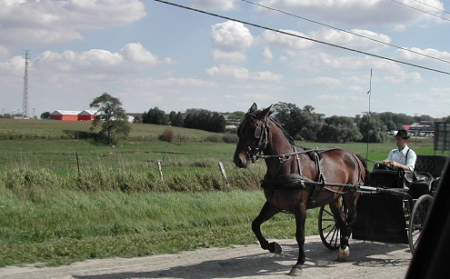 St. Jacobs: Mennonites