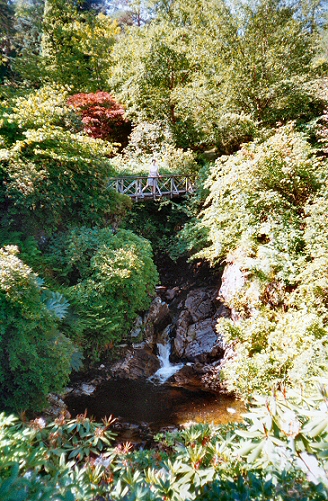 Crarae Gardens - The Gorge