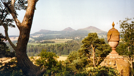 Wallace View