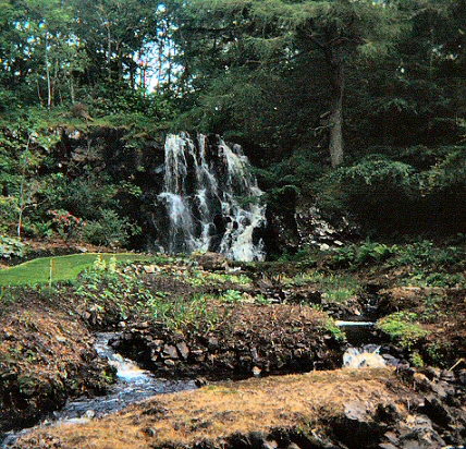 Dunvegan Castle - Gardens
