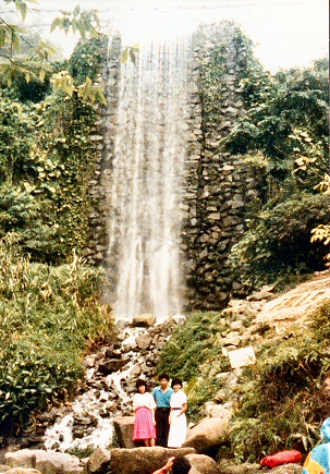 Jurong Bird Park - Waterfall