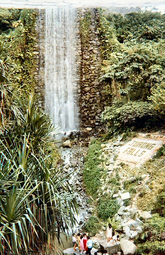 Jurong Bird Park - Waterfall