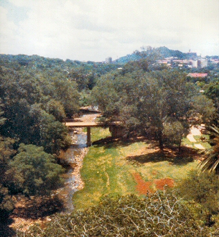 Pretoria Zoo - From the Cable Car